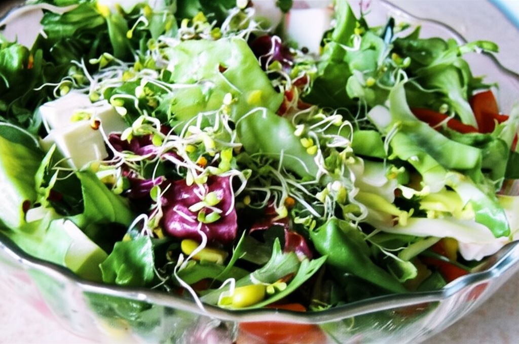 Sałatka wegetariańska