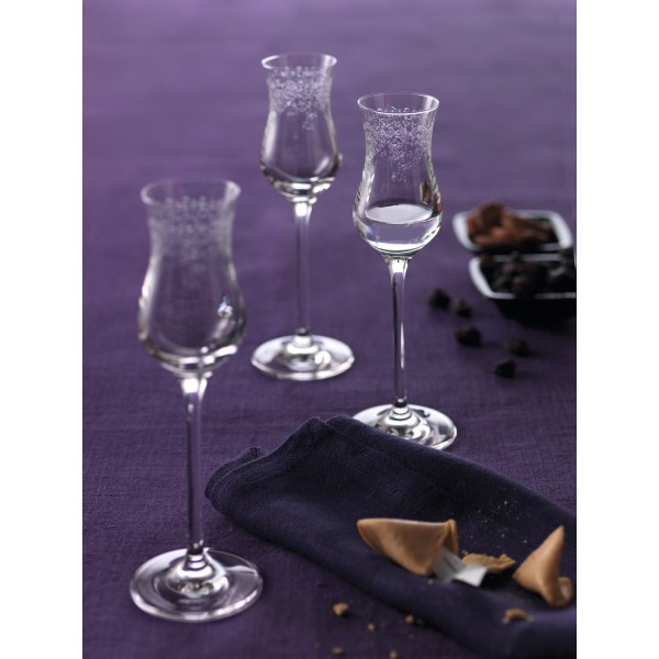 Zestaw kieliszków do grappy i rumu Leonardo CHATEAU (6 x 90 ml)