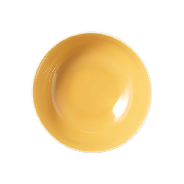 Каррі SELTMANN MEADOW GRASS у мисці 15 см