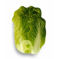 Салатниця ARIA FRESH 14x20x1 см