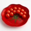 Тарілка для помідорів ARIA FRESH 22x22x2 см