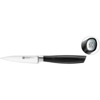 Ніж для овочів та фруктів ZWILLING ALL * STAR 10 см, сріблястий