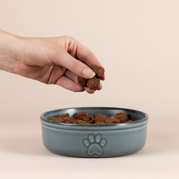 Miska dla zwierzaka Mason Cash MC-Miska (15 cm)