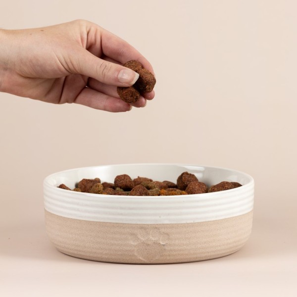 Miska na karmę dla zwierzaka Mason Cash MC-Miska (18 cm)