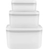 Набір із 3 прямокутних пластикових контейнерів ZWILLING FRESH & SAVE