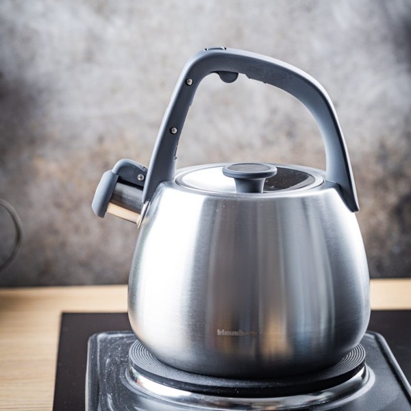 СТАЛЕВИЙ ГАЗОВИЙ ЧАЙНИК 2,5 Л ІНДУКЦІЙНИЙ KLAUSBERG KB-7773 СРІБНИЙ САТИН