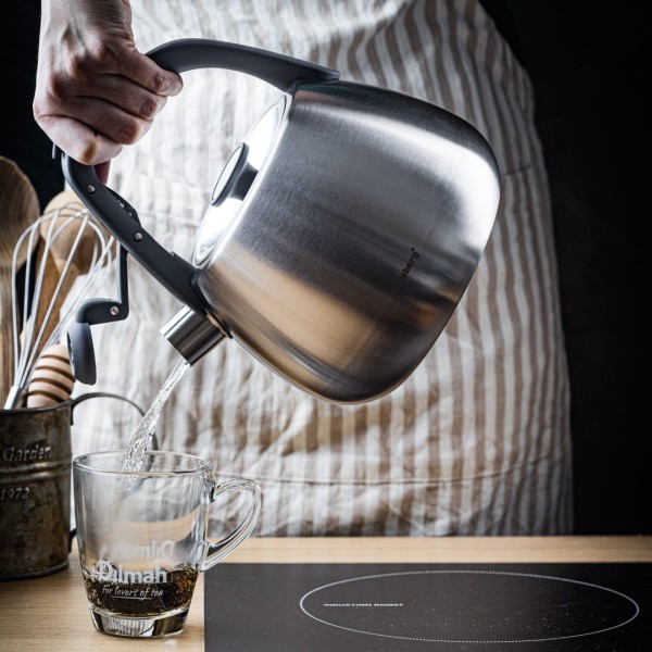 СТАЛЕВИЙ ГАЗОВИЙ ЧАЙНИК 2,5 Л ІНДУКЦІЙНИЙ KLAUSBERG KB-7773 СРІБНИЙ САТИН