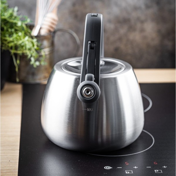 СТАЛЕВИЙ ГАЗОВИЙ ЧАЙНИК 2,5 Л ІНДУКЦІЙНИЙ KLAUSBERG KB-7773 СРІБНИЙ САТИН