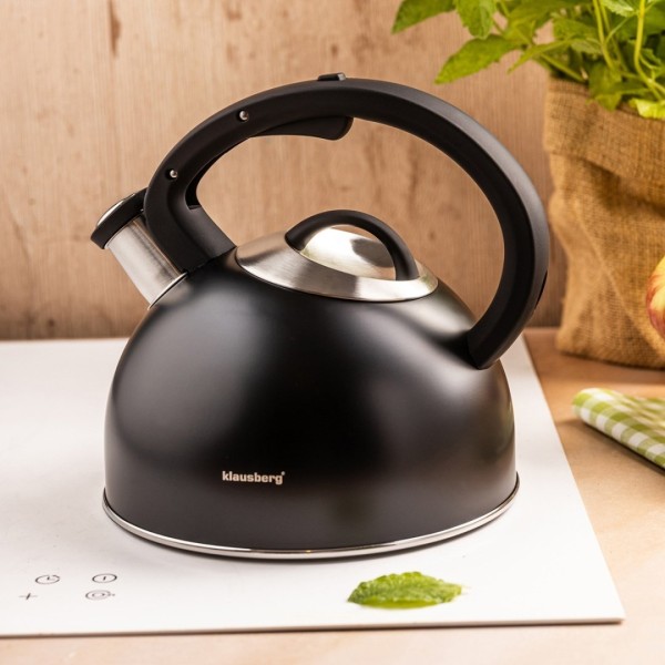 Czajnik ze stali nierdzewnej Klausberg KB-7911 (2,5 l)