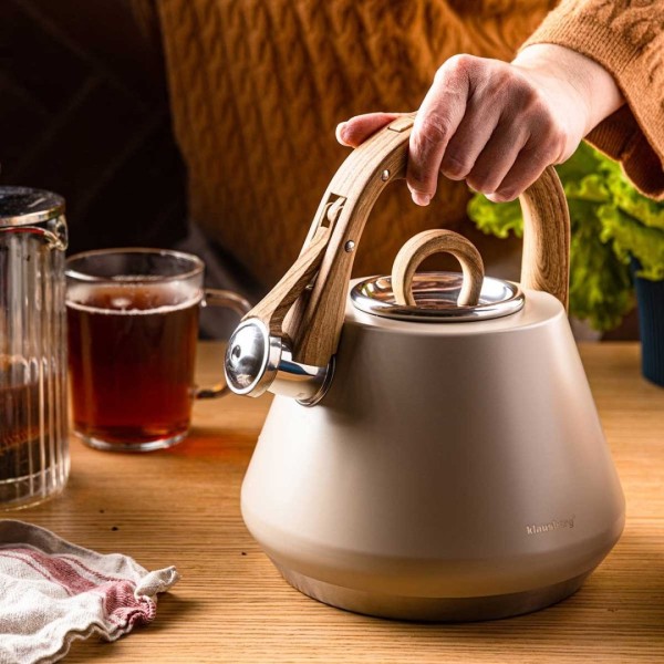 СТАЛЕВИЙ ЧАЙНИК ЗІ СВИСТКОМ 2,5 Л KLAUSBERG KB-7950 БЕЖЕВИЙ