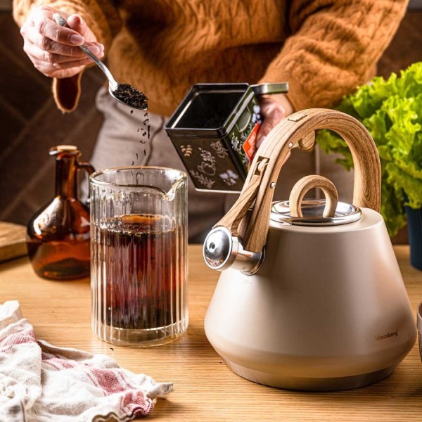 СТАЛЕВИЙ ЧАЙНИК ЗІ СВИСТКОМ 2,5 Л KLAUSBERG KB-7950 БЕЖЕВИЙ