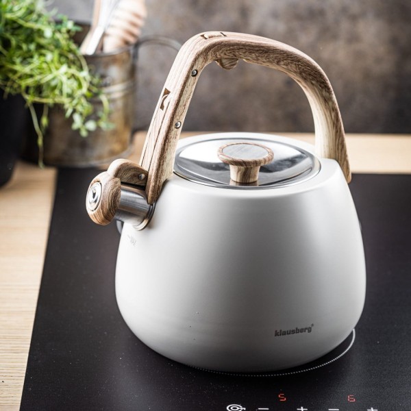 Czajnik stalowy Klausberg KB-7775 (2,5 l)