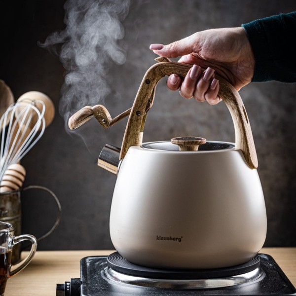 Czajnik stalowy Klausberg KB-7775 (2,5 l)