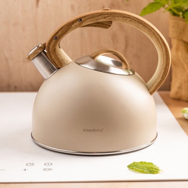 Czajnik stalowy Klausberg KB-7913 (2,5 l)