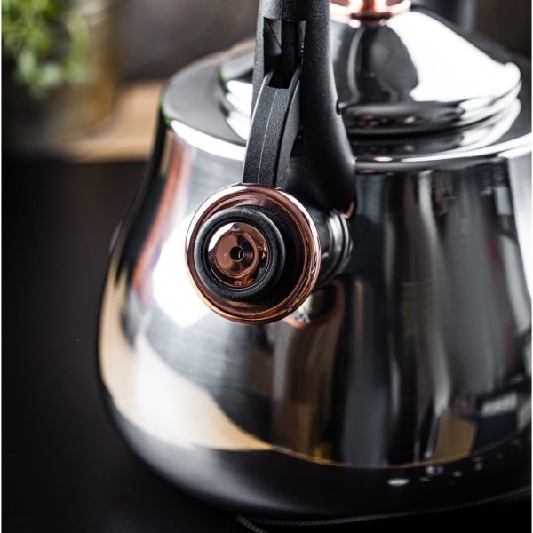 СТАЛЕВИЙ ГАЗОВИЙ ЧАЙНИК 2,8 Л ІНДУКЦІЙНИЙ ТРАДИЦІЙНИЙ KLAUSBERG KB-7776 СРІБНИЙ ГЛЯНЦЕВИЙ