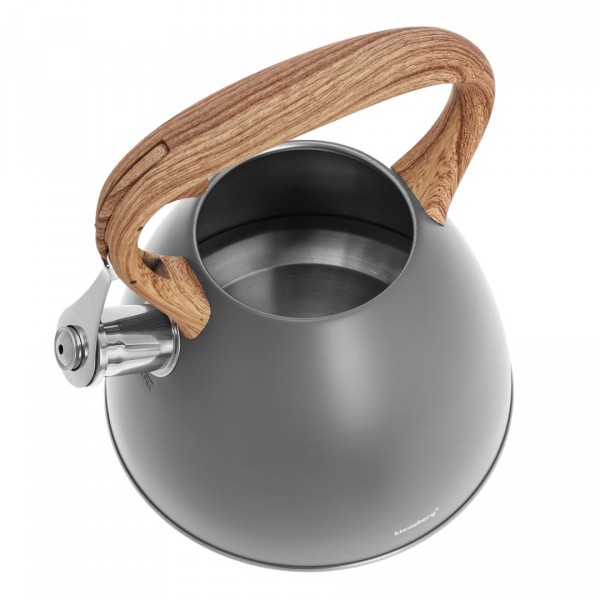 Сталевий чайник KLAUSBERG KB-7297, матове лакування, 3,0 л