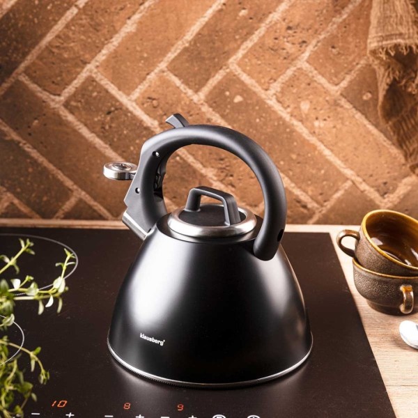 СТАЛЕВИЙ ЧАЙНИК ЗІ СВИСТКОМ 2,5 Л KLAUSBERG KB-7952