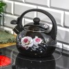 Емальований чайник 2.2 л Brunbeste Black Rose BB-4551
