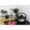 Емальований чайник 2.2 л Brunbeste Black Rose BB-4551
