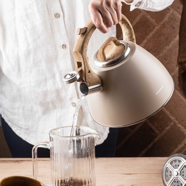 СТАЛЕВИЙ ЧАЙНИК ЗІ СВИСТКОМ 2,5 Л KLAUSBERG KB-7954