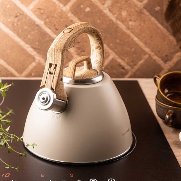 СТАЛЕВИЙ ЧАЙНИК ЗІ СВИСТКОМ 2,5 Л KLAUSBERG KB-7954