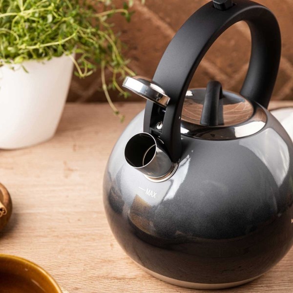 СТАЛЕВИЙ ЧАЙНИК ЗІ СВИСТКОМ 3 Л KLAUSBERG KB-7955 ГРАФІТОВИЙ ГЛЯНЦЕВИЙ