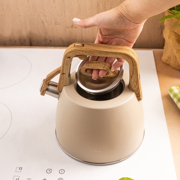 Czajnik stalowy Klausberg KB-7917 (2,5 l)