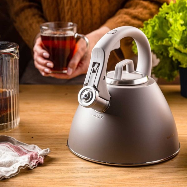 СТАЛЕВИЙ ЧАЙНИК ЗІ СВИСТКОМ 2,5 Л KLAUSBERG KB-7953