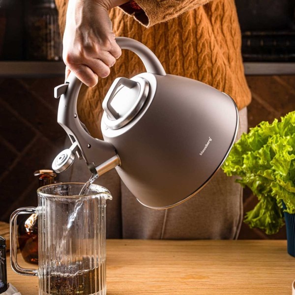 СТАЛЕВИЙ ЧАЙНИК ЗІ СВИСТКОМ 2,5 Л KLAUSBERG KB-7953