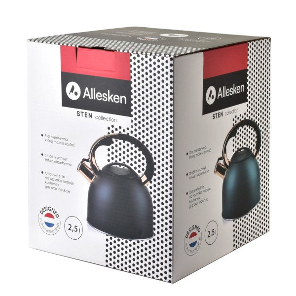 Чайник STEN SILVER 2.5 л