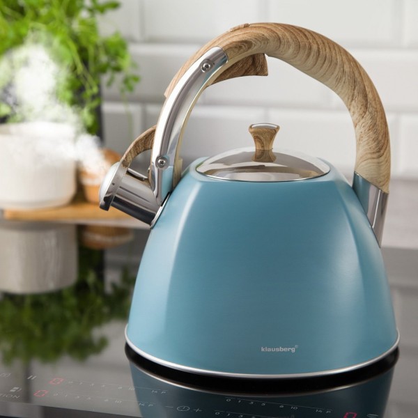 ЛАКОВАНИЙ СТАЛЕВИЙ ЧАЙНИК 3.0 Л KLAUSBERG KB-7499