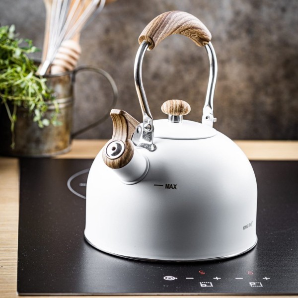 СТАЛЕВИЙ ІНДУКЦІЙНИЙ ЧАЙНИК 2,5 Л KINGHOFF KH-1860 МАТОВИЙ БІЛИЙ