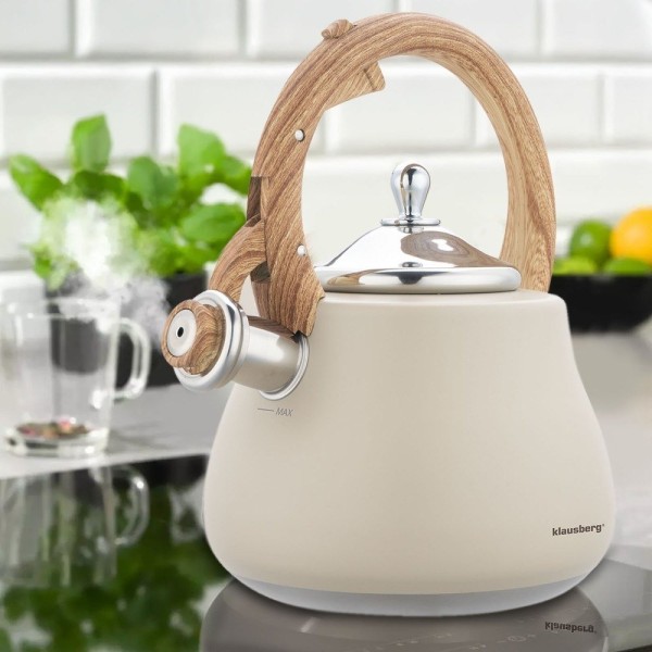 Czajnik stalowy Klausberg KB-7919 (2,8 l)