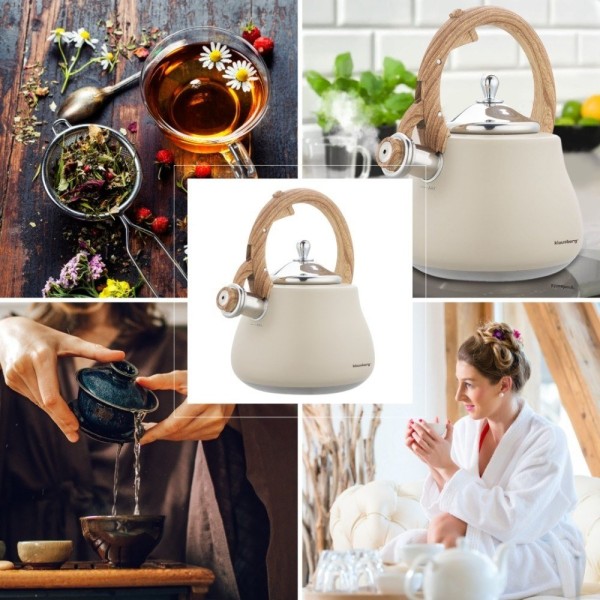 Czajnik stalowy Klausberg KB-7919 (2,8 l)