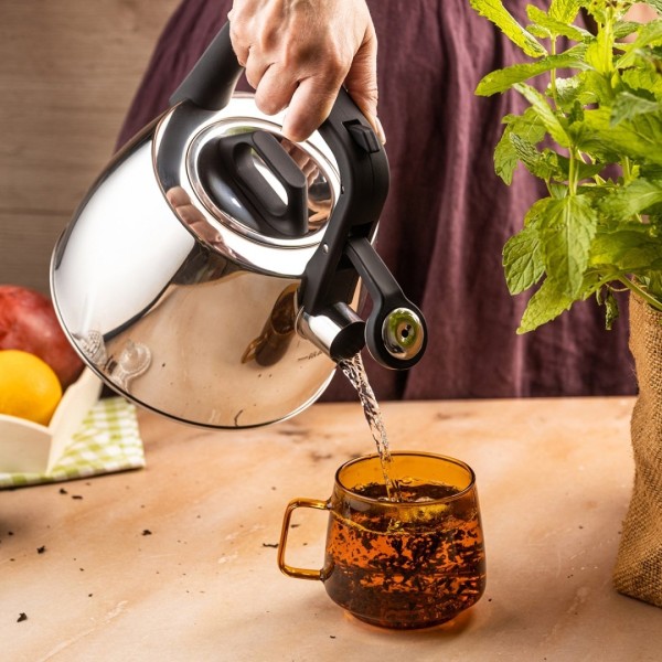 СТАЛЕВИЙ ЧАЙНИК ЗІ СВИСТКОМ 2,5 Л KLAUSBERG KB-7914