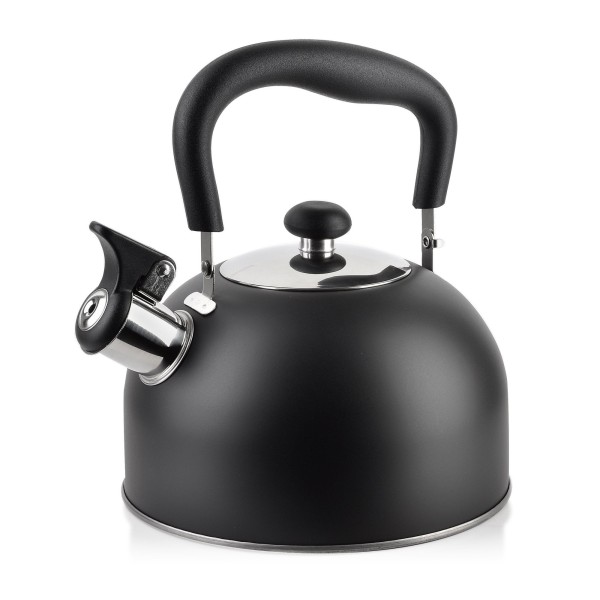 Чайник STEVE BLACK 2.0 л