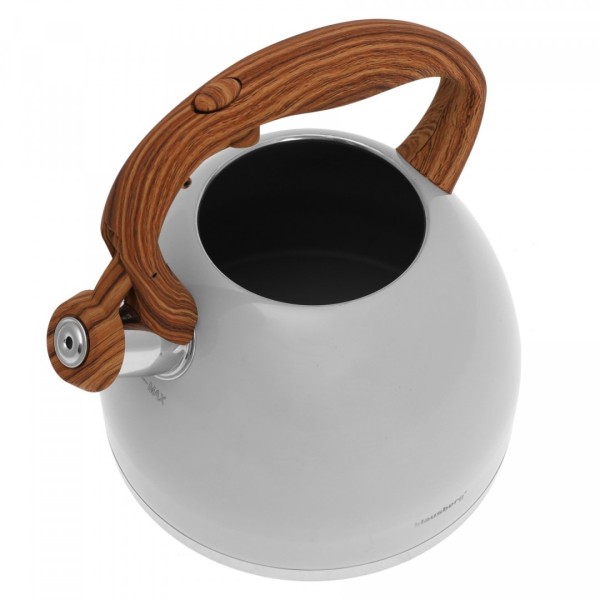 ЧАЙНИК З НЕРЖАВІЮЧОЇ СТАЛІ З МАТОВИМ ЛАКОМ 3.0 Л KLAUSBERG KB-7451