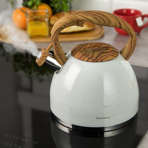ЧАЙНИК З НЕРЖАВІЮЧОЇ СТАЛІ З МАТОВИМ ЛАКОМ 3.0 Л KLAUSBERG KB-7451