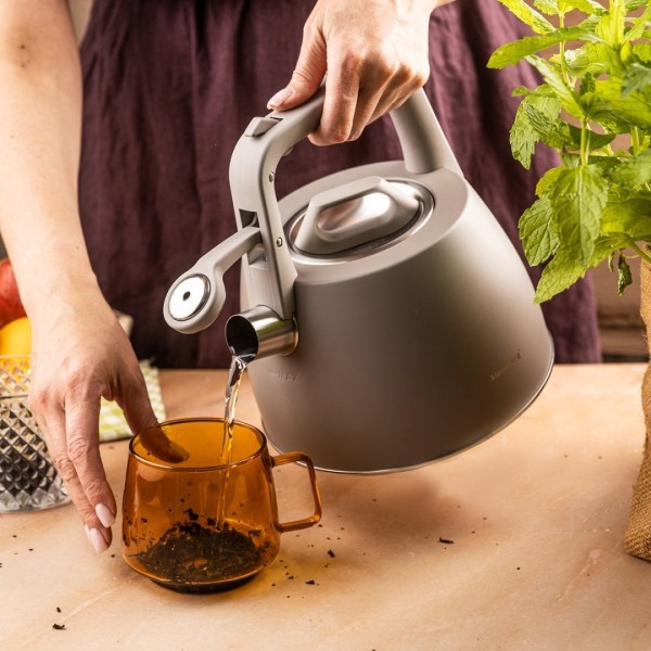 Czajnik stalowy Klausberg KB-7916 (2,5 l)