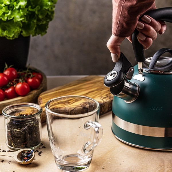 Газовий чайник сталевий 1.8 л малий індукційний Kinghoff KH-1855 зелений