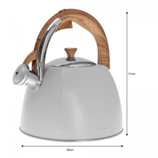 Чайник KLAUSBERG KB-7500 3.0 л з лакованої сталі