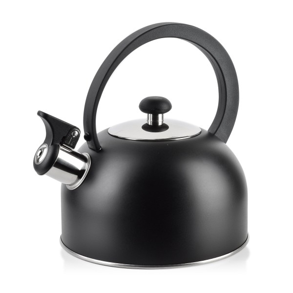 Чайник BORYS BLACK 2.0 л