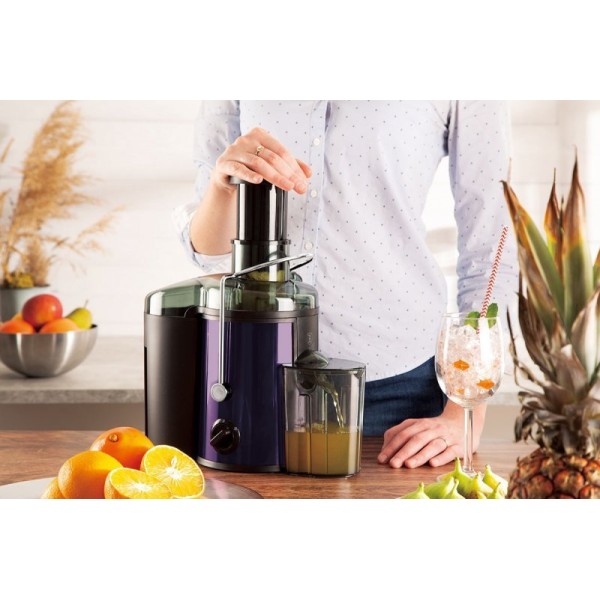 СОКОВИЧИНКА BERLINGER HAUS BH-9294 PURPLE ECLIPSE