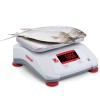 Waga kuchenna kontrolna OHAUS V22PWE30T (30 kg)