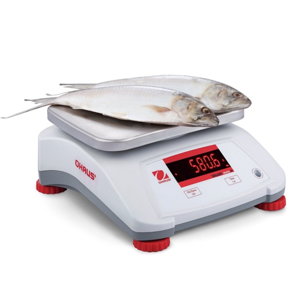 Waga kuchenna kontrolna OHAUS V22PWE30T (30 kg)