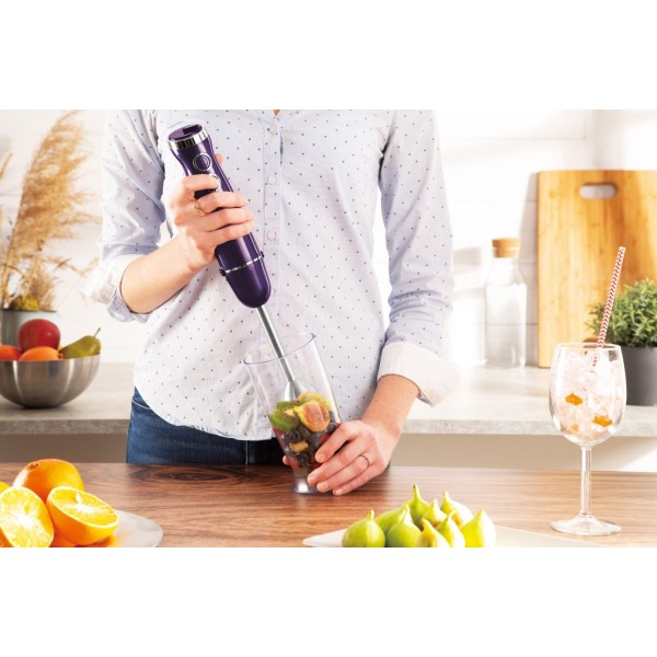 Blender ręczny Berlinger haus BH-9381 (500 W)