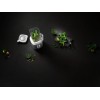 Універсальний блендер ZWILLING ENFINIGY Silver