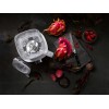 Універсальний блендер ZWILLING ENFINIGY Silver