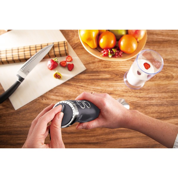 Blender ręczny Berlinger haus BH-9382 (700 W)