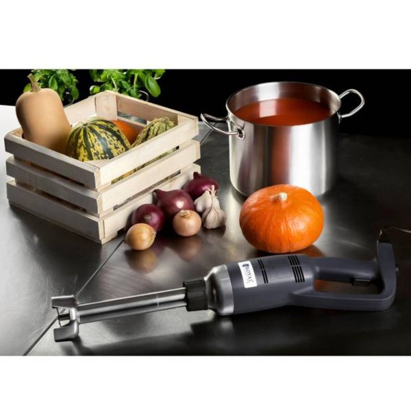 Потужний міксер-блендер, ручний робот-блендер, довжина руки 300 мм, 350 Вт, 230 В, Royal Catering